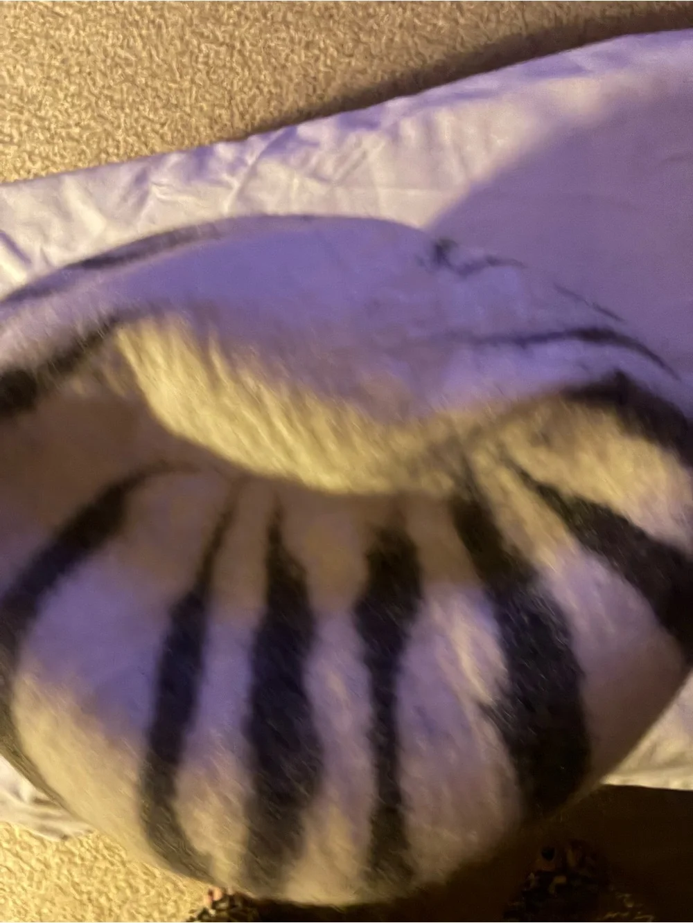 Plush Felted Cave Bed for Dogs - White & Gray Stripes Dog/  toy NoT Included :)